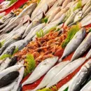 Остановленные из-за водной блокады крымские предприятия увеличат производство рыбы
