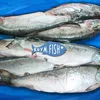 свежемороженая рыба опт в Севастополе