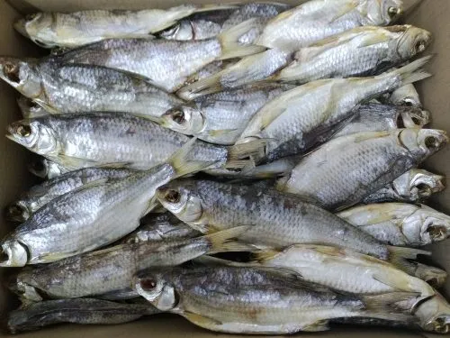 фотография продукта Рыба вяленая, копченая