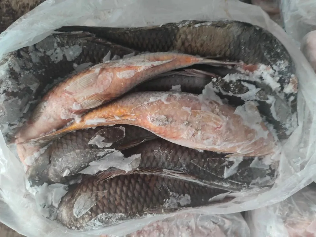 везу вяленую рыбу в Крым в Севастополе 2