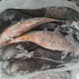 везу вяленую рыбу в Крым в Севастополе